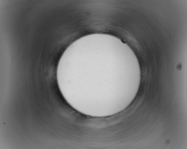 X0000100410029200807032048
