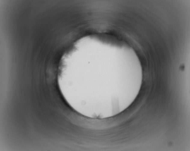 X0000100410030200807032048