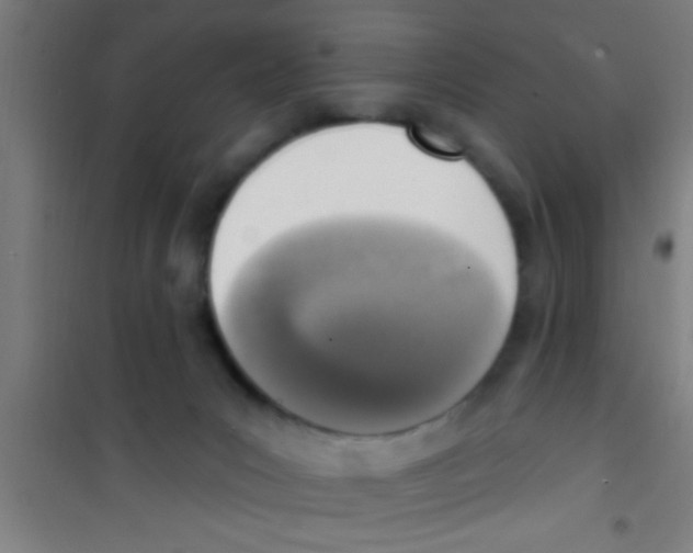 X0000100410031200807032048
