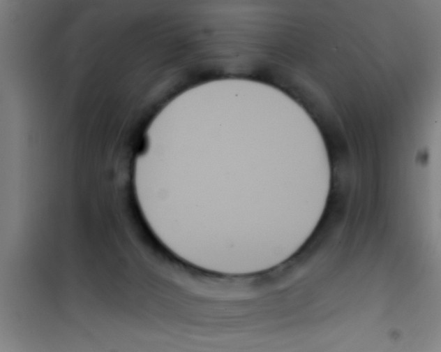 X0000100410032200807032048