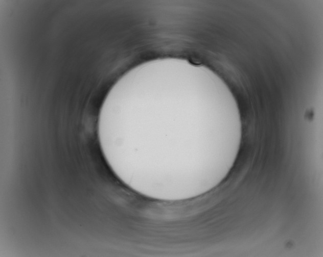 X0000100410033200807032048