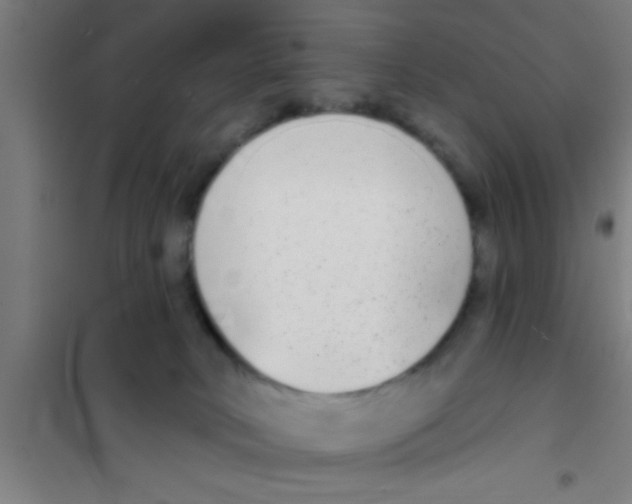 X0000100410034200807032048