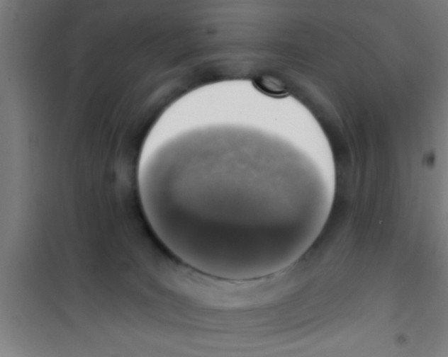 X0000100410035200807032048