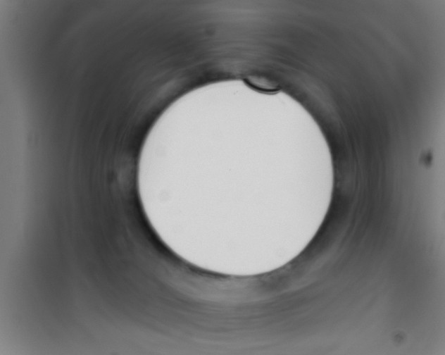X0000100410036200807032048