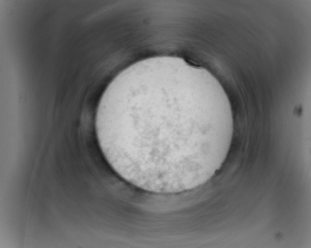 X0000100410037200807032048