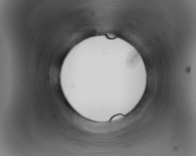 X0000100410038200807032048