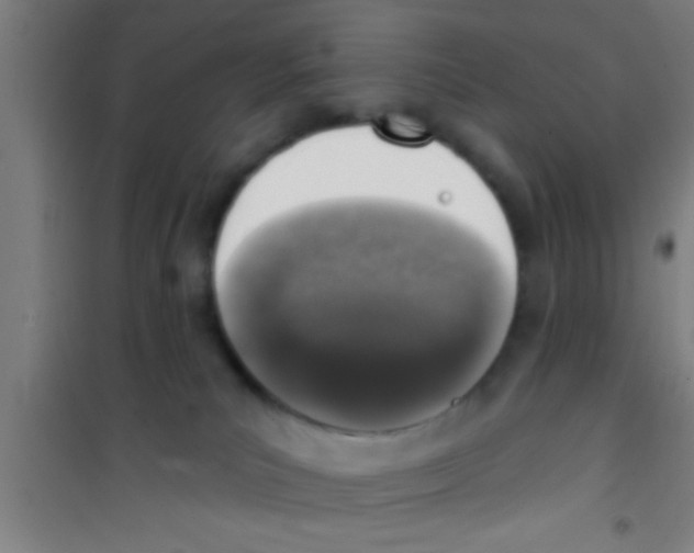 X0000100410039200807032048