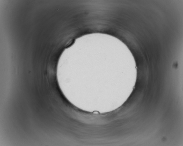 X0000100410040200807032048