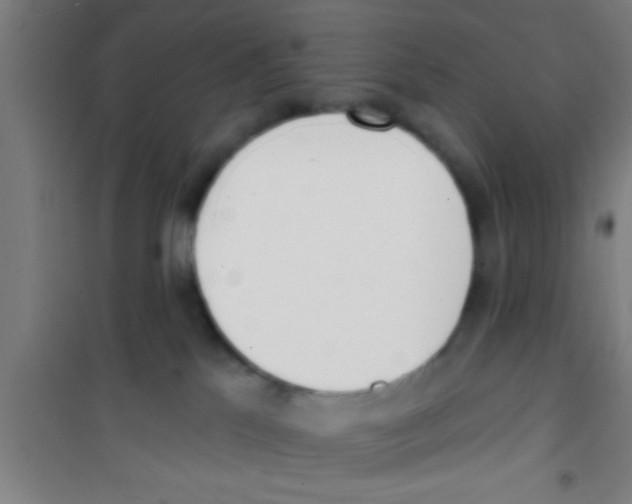 X0000100410041200807032048
