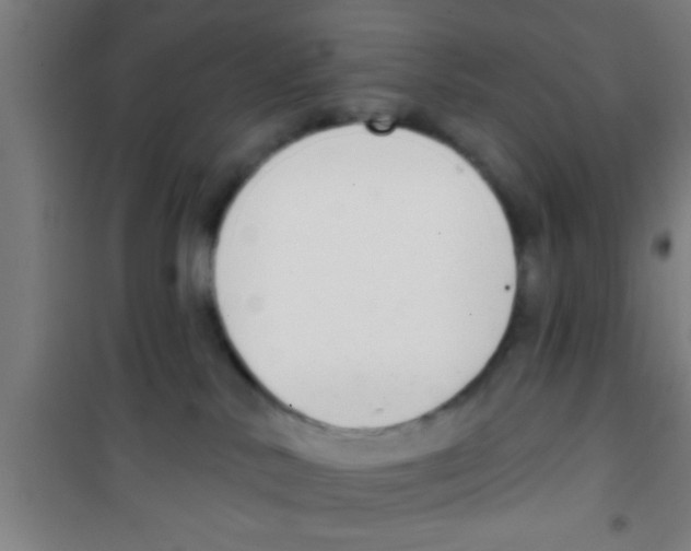 X0000100410042200807032048