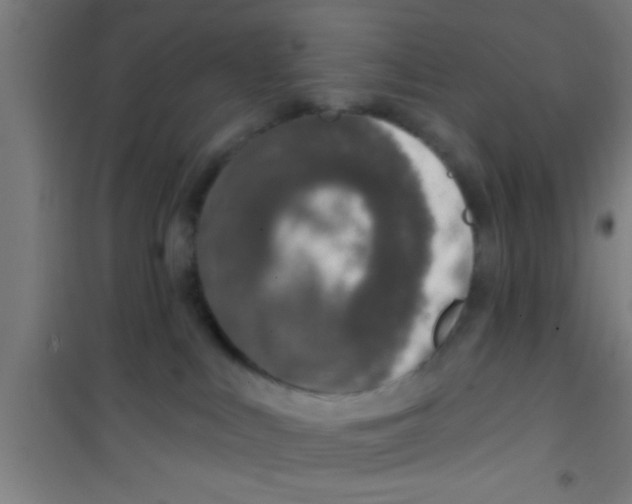 X0000100410043200807032048