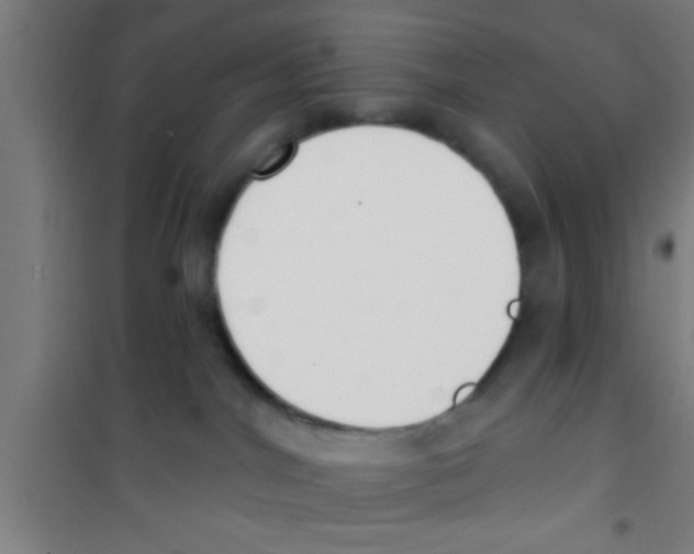 X0000100410044200807032048