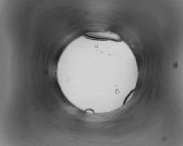X0000100410045200807032048