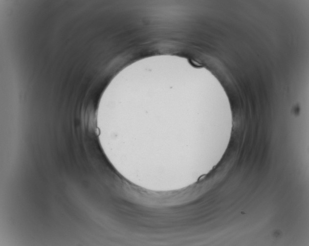 X0000100410046200807032048