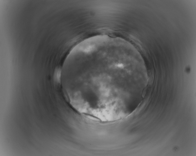 X0000100410047200807032048