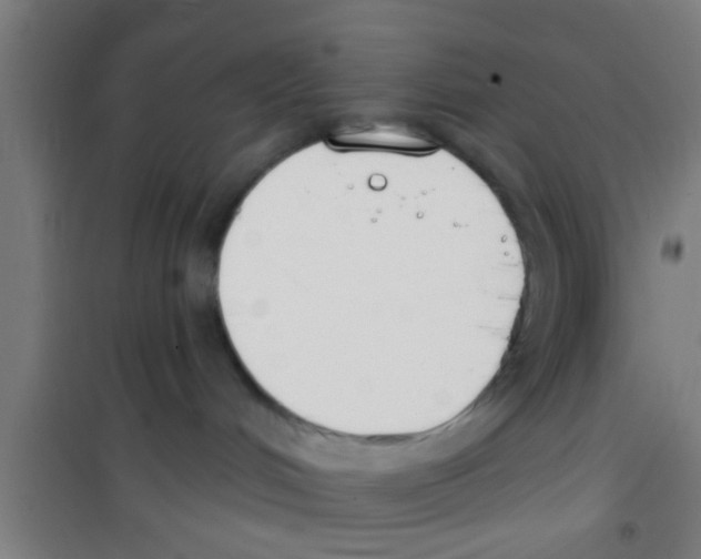 X0000100410048200807032048