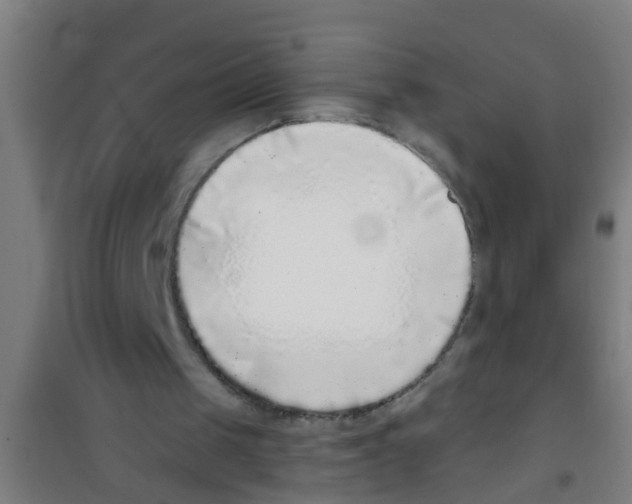 X0000100410049200807032047