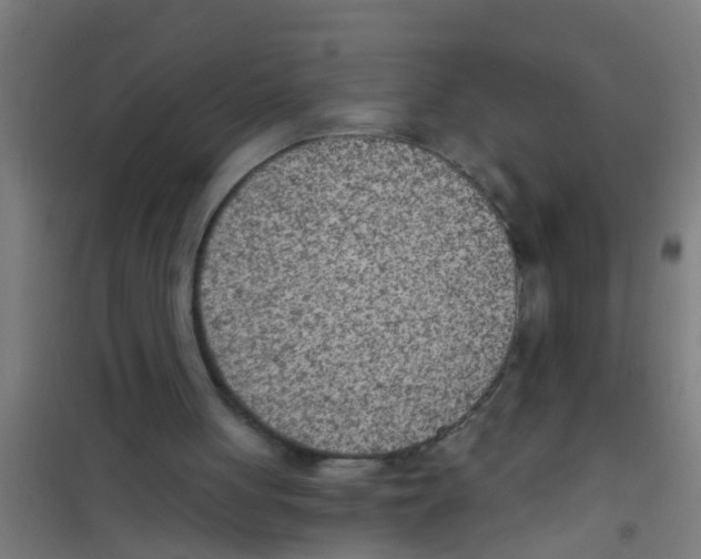 X0000100410051200807032047