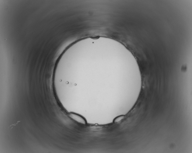 X0000100410052200807032047