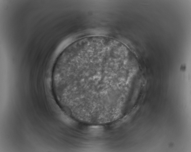 X0000100410053200807032047