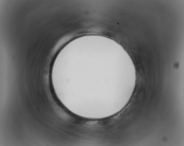 X0000100410054200807032047