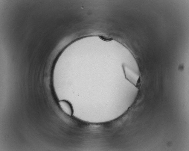 X0000100410055200807032047