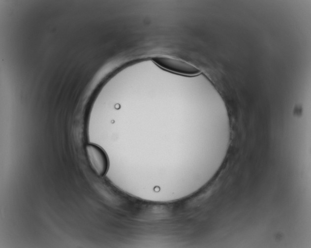 X0000100410056200807032047