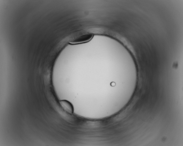 X0000100410057200807032047