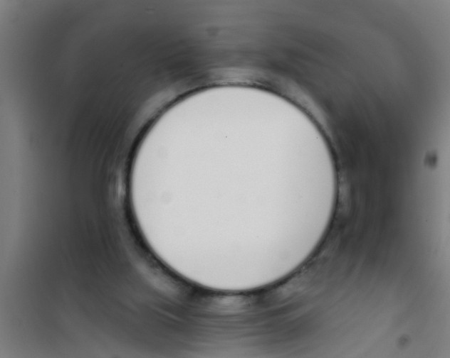 X0000100410059200807032047