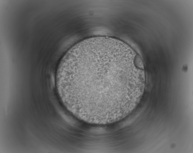 X0000100410061200807032047