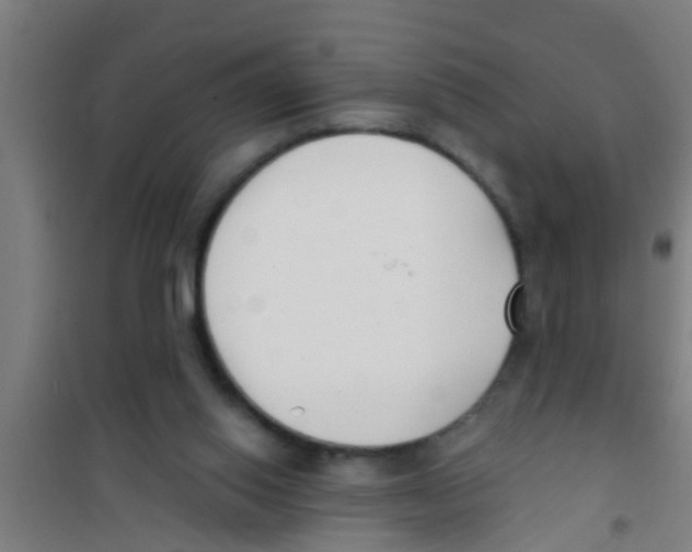 X0000100410062200807032047