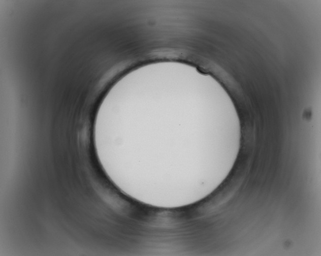 X0000100410064200807032047