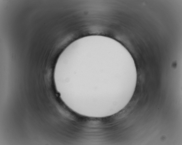 X0000100410066200807032047