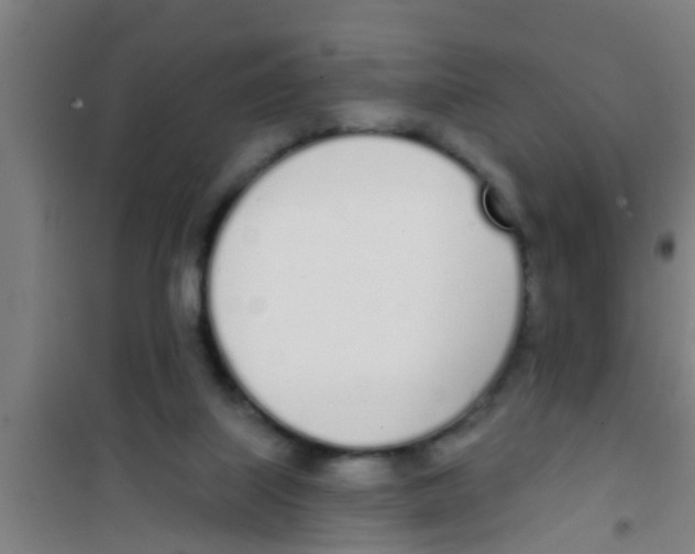 X0000100410067200807032047