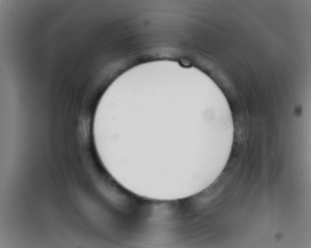 X0000100410070200807032047