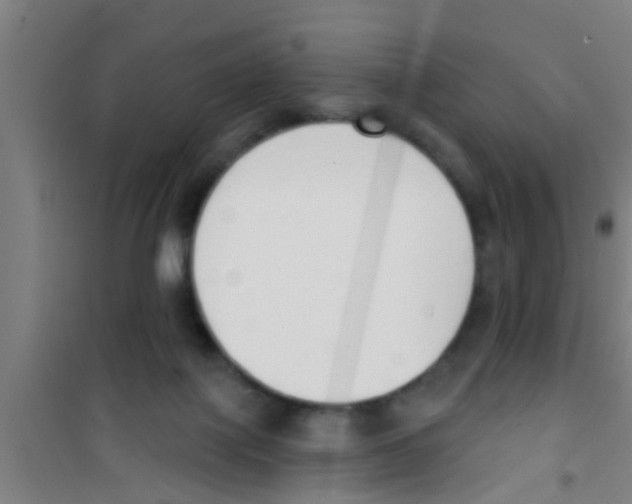 X0000100410075200807032047