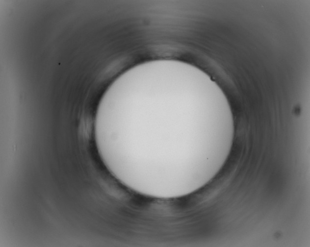 X0000100410076200807032047