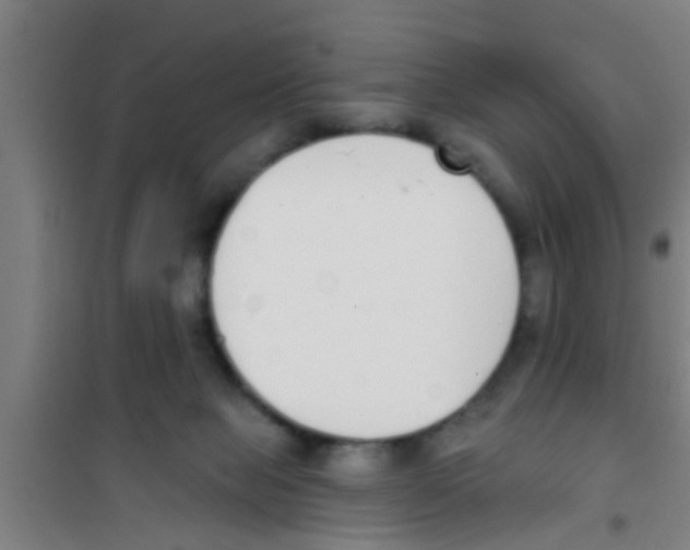 X0000100410077200807032047