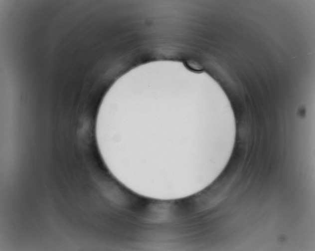 X0000100410079200807032047