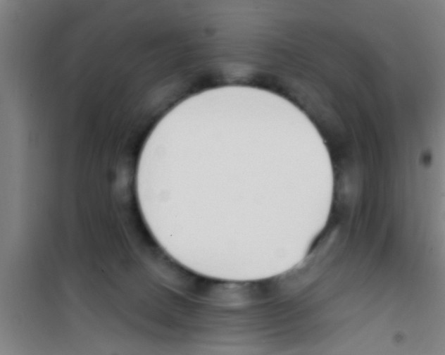 X0000100410082200807032047