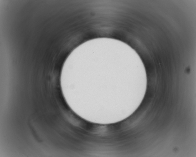 X0000100410083200807032047
