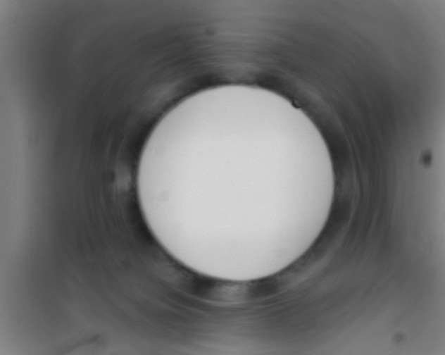 X0000100410084200807032047