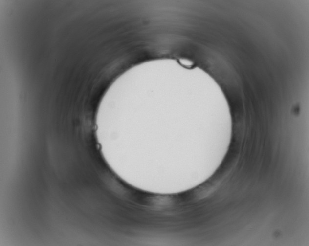 X0000100410085200807032047