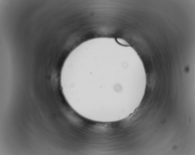 X0000100410086200807032047