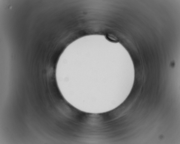 X0000100410087200807032047
