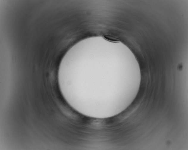 X0000100410088200807032047