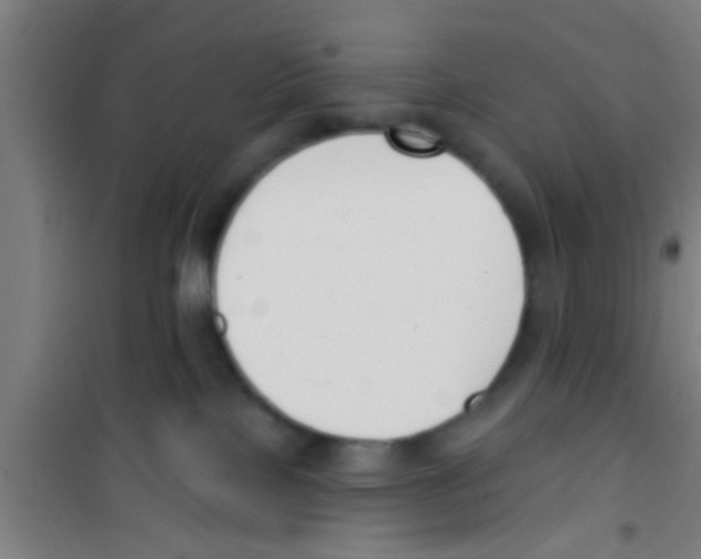 X0000100410089200807032048