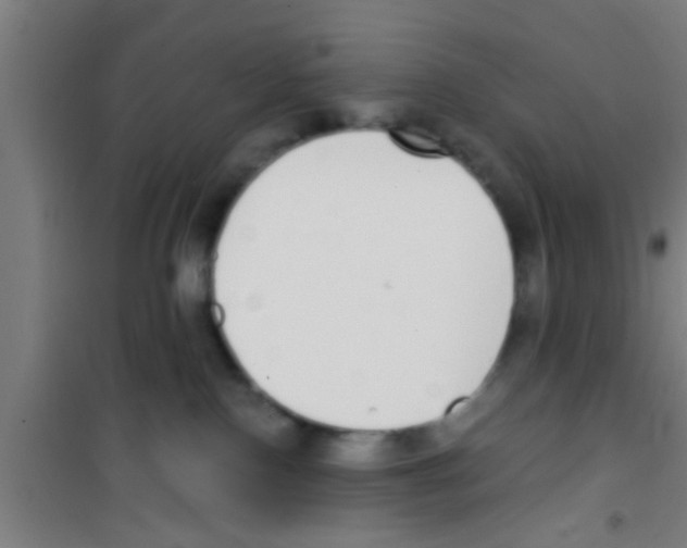 X0000100410090200807032048