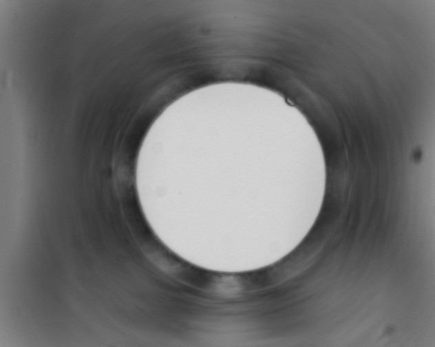 X0000100410091200807032048