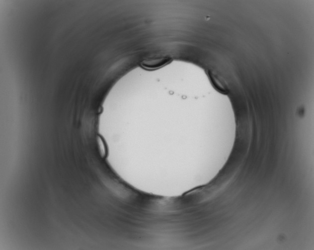 X0000100410092200807032048